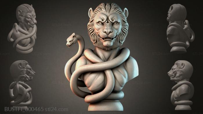 BUSTFI_000465 3d STL model