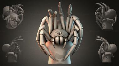 Fantasy busts Spider Head Sculpture 3d model