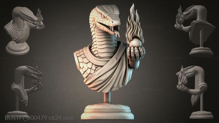 BUSTFI_000479 3d STL model