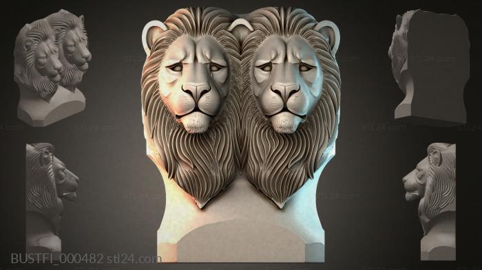 BUSTFI_000482