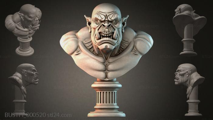 BUSTFI_000520
