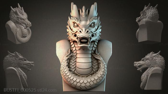 BUSTFI_000525