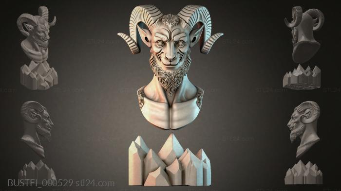 BUSTFI_000529