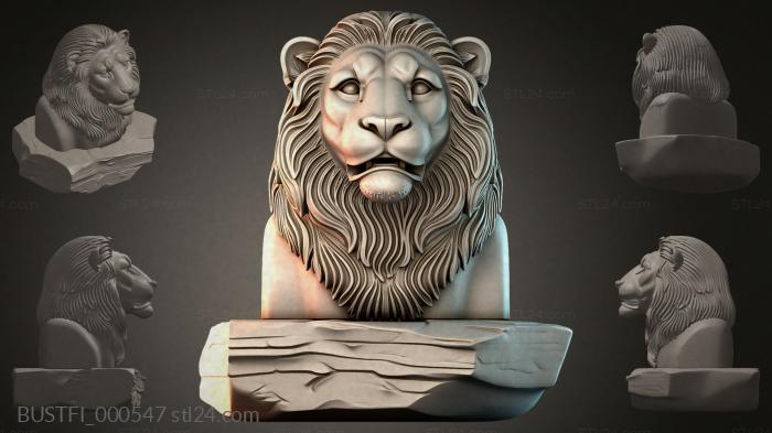 BUSTFI_000547