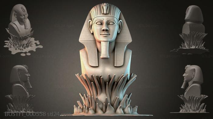 BUSTFI_000558