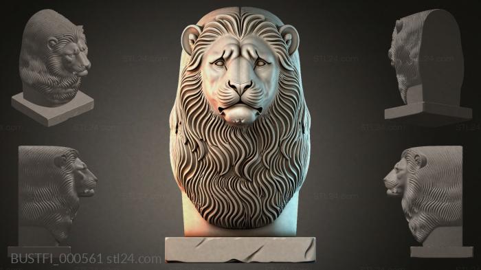 BUSTFI_000561