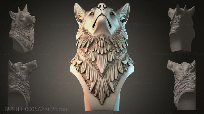 BUSTFI_000562 3d STL model