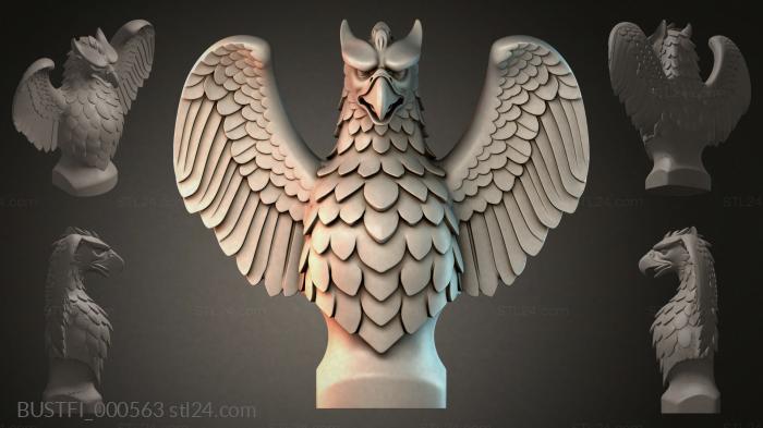 BUSTFI_000563