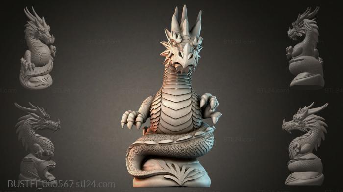 BUSTFI_000567 3d STL model