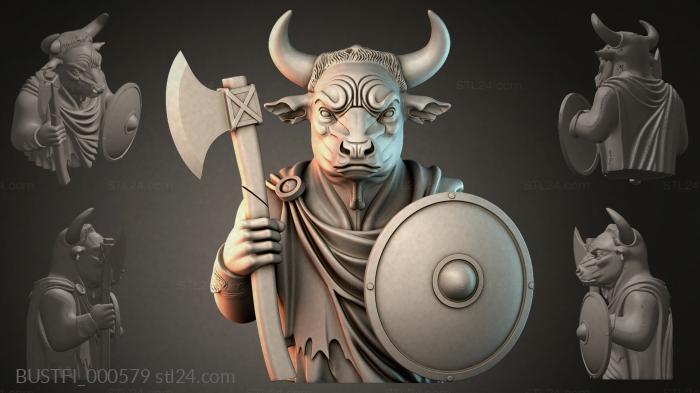 BUSTFI_000579 3d STL model