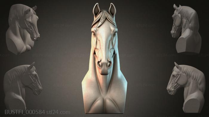 BUSTFI_000584 3d STL model