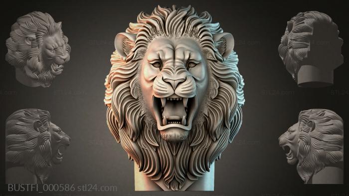 BUSTFI_000586 3d STL model