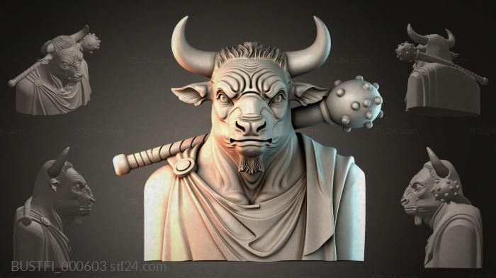 Бюсты фэнтези (BUSTFI_000603) 3D модель для ЧПУ станка