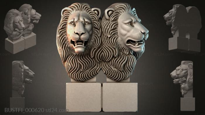 BUSTFI_000620