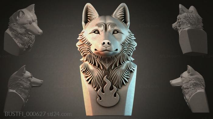 BUSTFI_000627