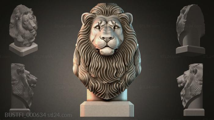 BUSTFI_000634