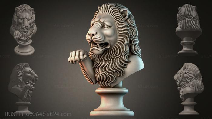 BUSTFI_000648