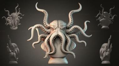 Fantasy busts Octopus Bust 3d model
