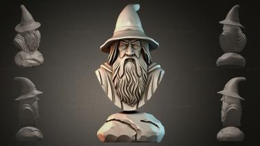 Fantasy busts Bust of a Wizard 3d model