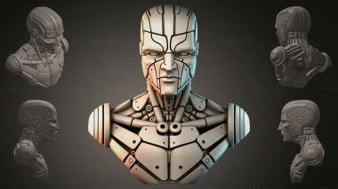 Fantasy busts Robot bust 3d model