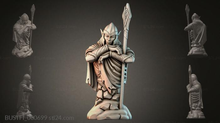 BUSTFI_000699 3d STL model