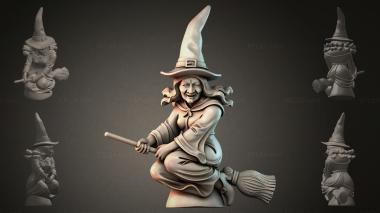Fantasy busts Witch on a broom 3d model