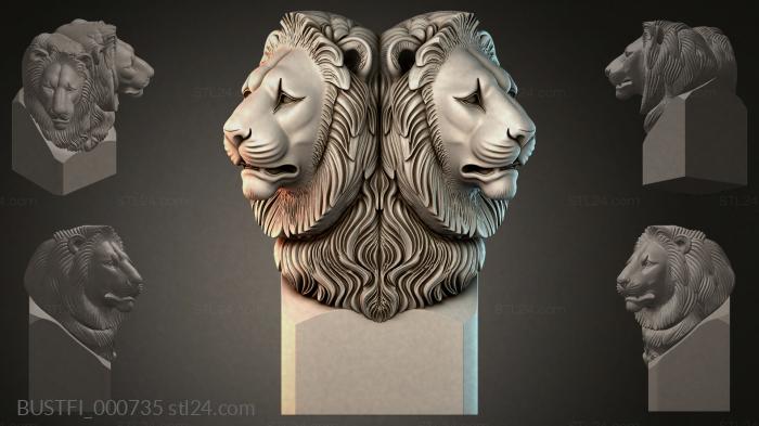 BUSTFI_000735