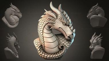 Fantasy busts Dragon head 3d model