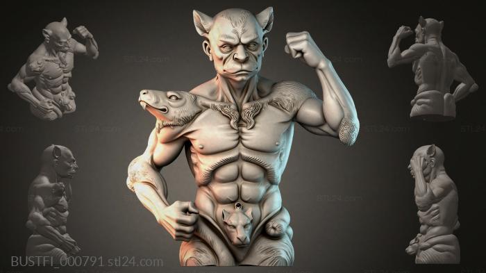 BUSTFI_000791 3d STL model