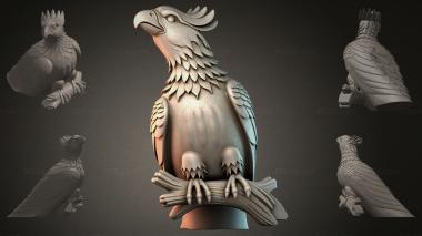 Fantasy busts Decorative eagle on a branch 3d model