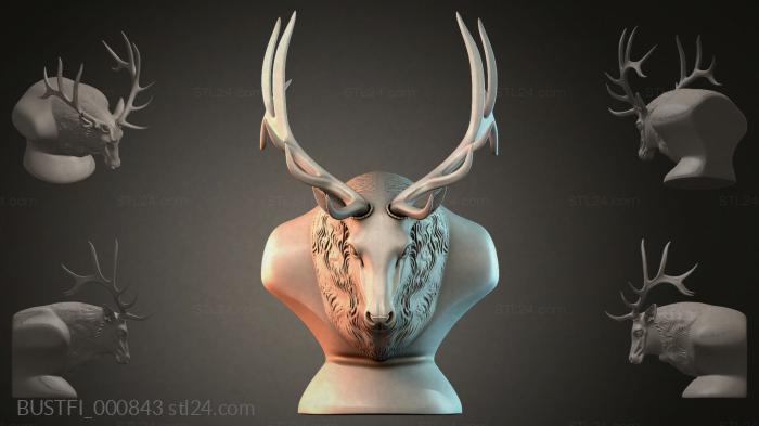Бюсты фэнтези (BUSTFI_000843) 3D модель для ЧПУ станка