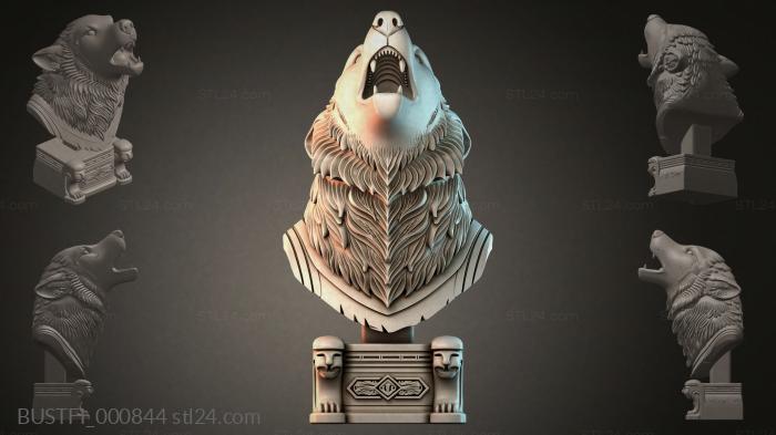 Бюсты фэнтези (BUSTFI_000844) 3D модель для ЧПУ станка
