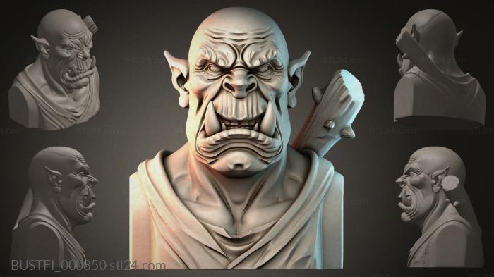 Бюсты фэнтези (BUSTFI_000850) 3D модель для ЧПУ станка