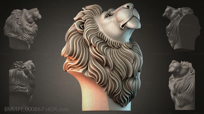 BUSTFI_000867