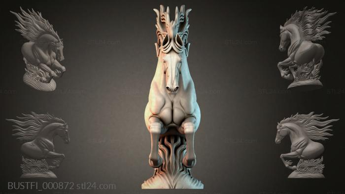 BUSTFI_000872