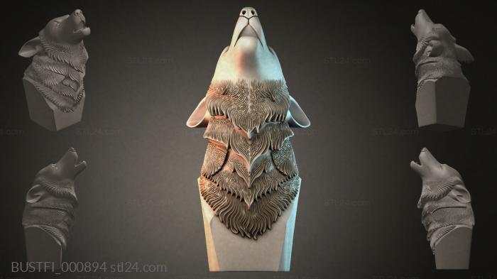 BUSTFI_000894