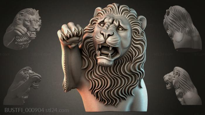 BUSTFI_000904