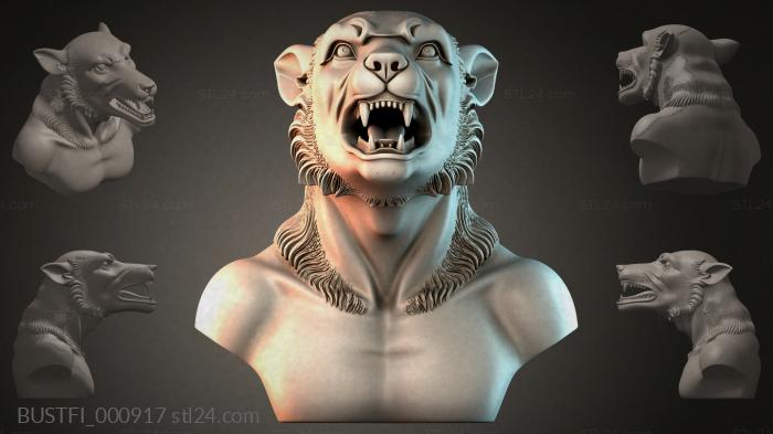 BUSTFI_000917