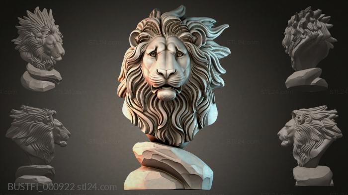 BUSTFI_000922
