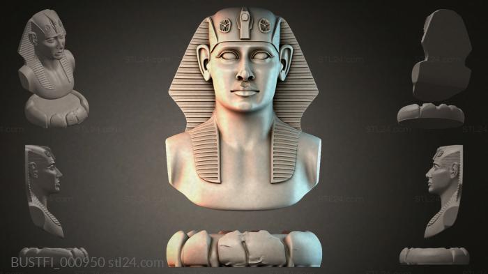 BUSTFI_000950