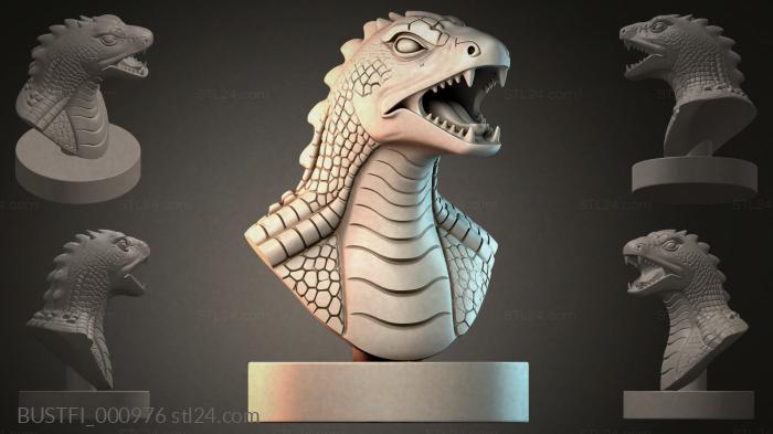 BUSTFI_000976