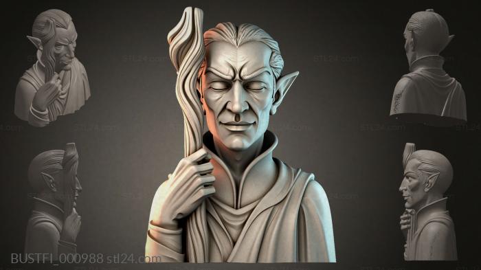 BUSTFI_000988 3d STL model