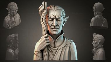 Fantasy busts Elf bust 3d model