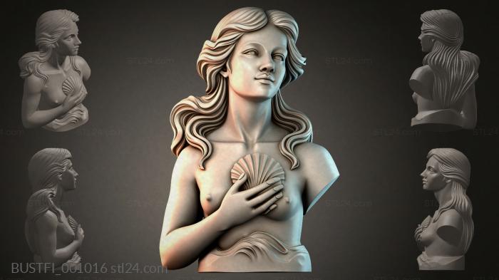 BUSTFI_001016 3d STL model