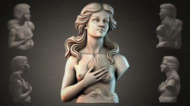 Fantasy busts Bust of a girl with a shell 3d model