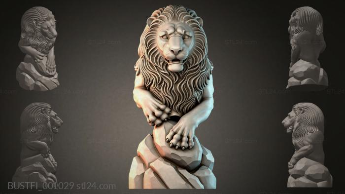 BUSTFI_001029