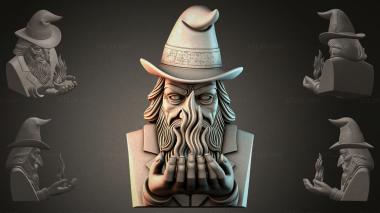 Fantasy busts Bust of a Wizard 3d model