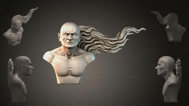 Fantasy busts Bust of a bald man 3d model