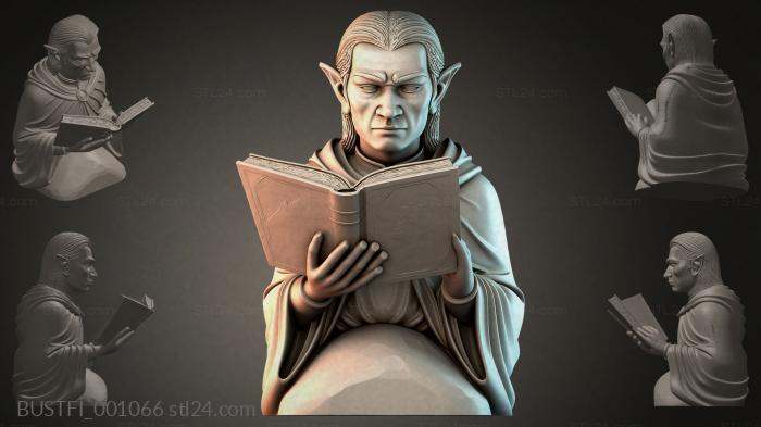 Elf with a Book 3d STL model