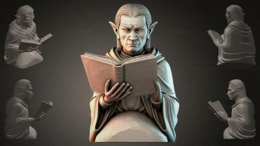 Fantasy busts Elf with a Book 3d model